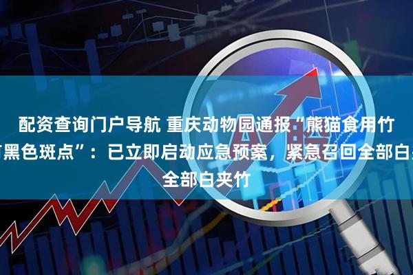 配资查询门户导航 重庆动物园通报“熊猫食用竹子有黑色斑点”：已立即启动应急预案，紧急召回全部白夹竹
